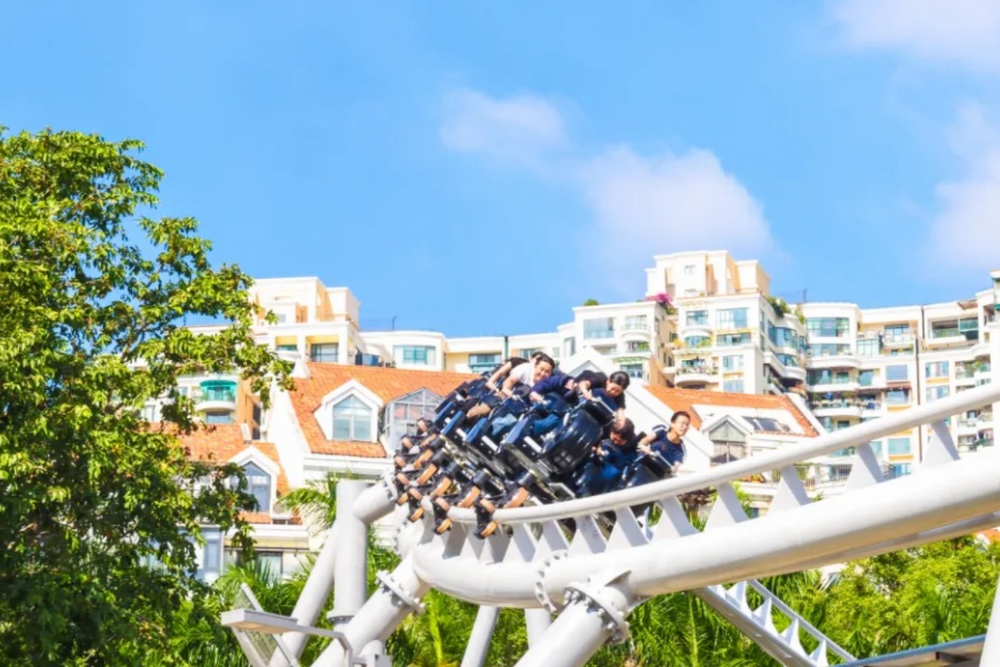 202511171413-2008089814.jpg dsf.jpg