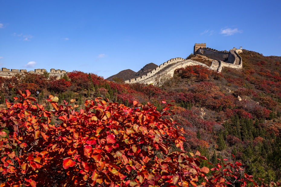 202511171434-4731452465.jpg 930-7.jpg