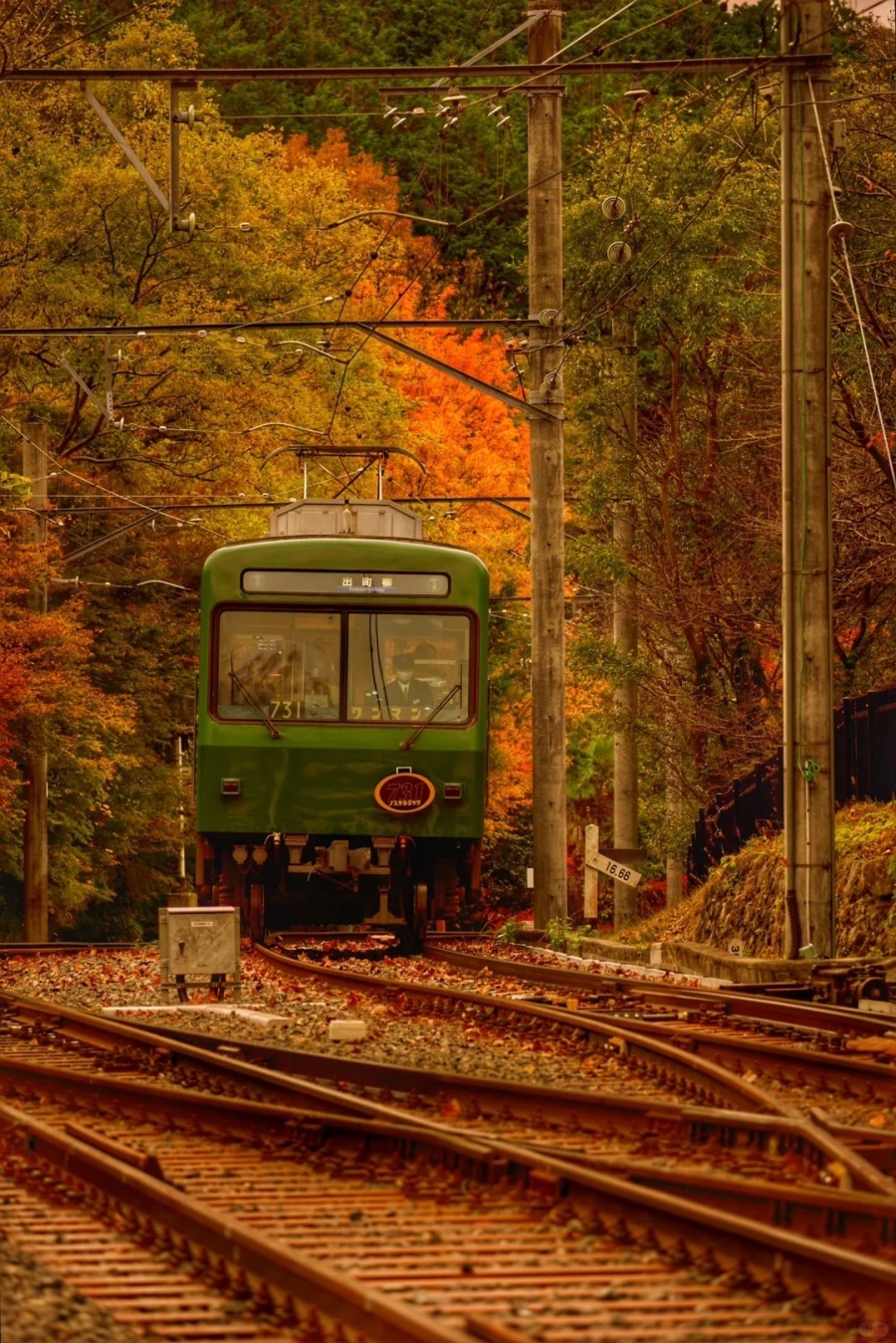 202511171509-3888997876.jpg 京都红叶推荐景色:叡山电铁「八濑比叡山口」_2_设计师摄影师 AKIRA_来自小红书网页版.jpg