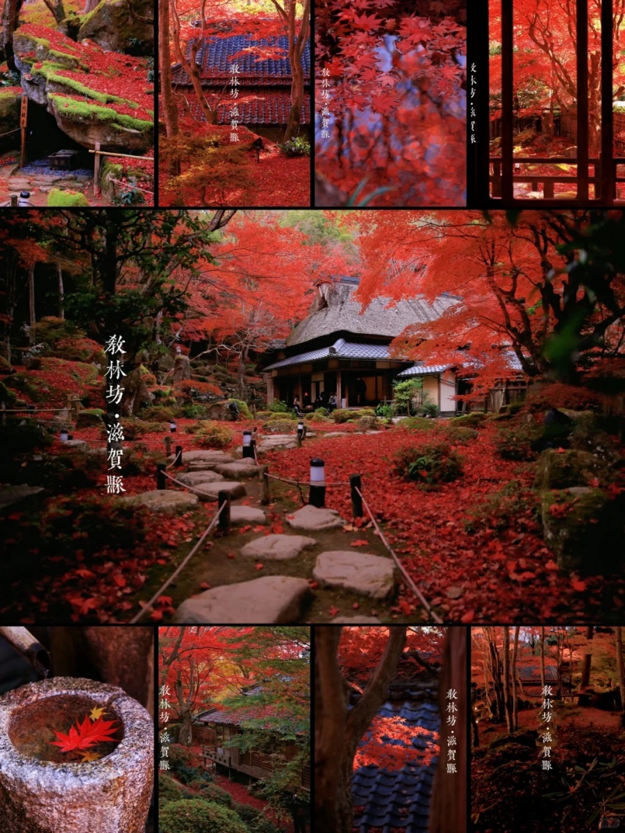 202511171553-9990711355.jpg 什么地方值得两天去三次?_1_专吃小包包_来自小红书网页版.jpg