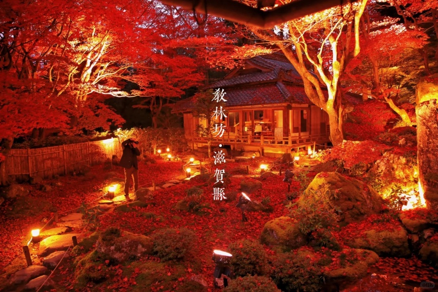 202511171554-2392004124.jpg 什么地方值得两天去三次?_14_专吃小包包_来自小红书网页版.jpg