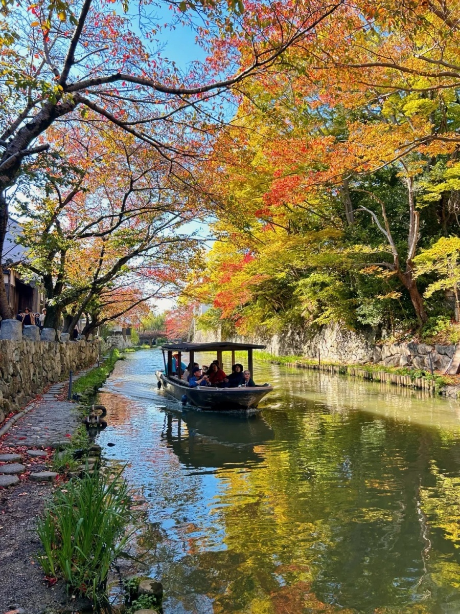 202511171627-4283243805.jpg 近江八幡|终于有秋天的感觉了_3_繁树啊_来自小红书网页版.jpg