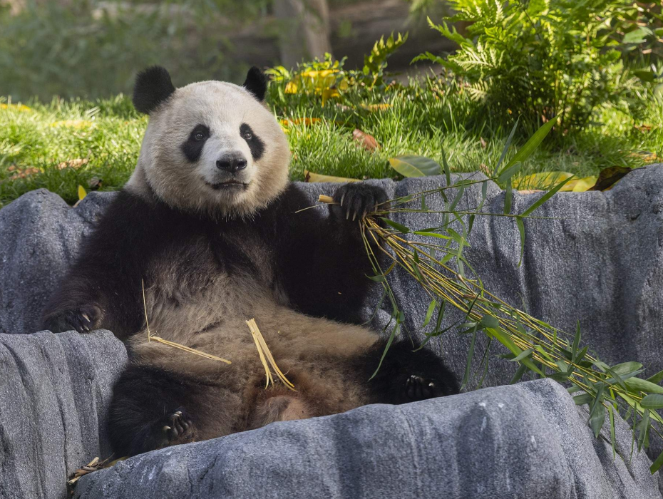 202511171650-5812025429.png 企业微信截图_17633679891904.png