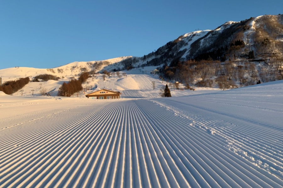 202511171719-8048981165.jpg 1003648ca200279913f0005db3490c0.jpg