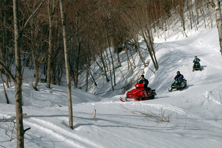 202511171736-9029954192.jpg 1113af03-93e0-4e58-9b47-862c9e99db0c.jpg