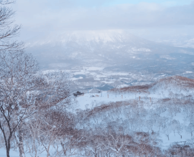 202511181041-7588513414.png image.png