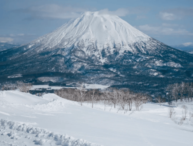 202511181044-9157599111.png image.png