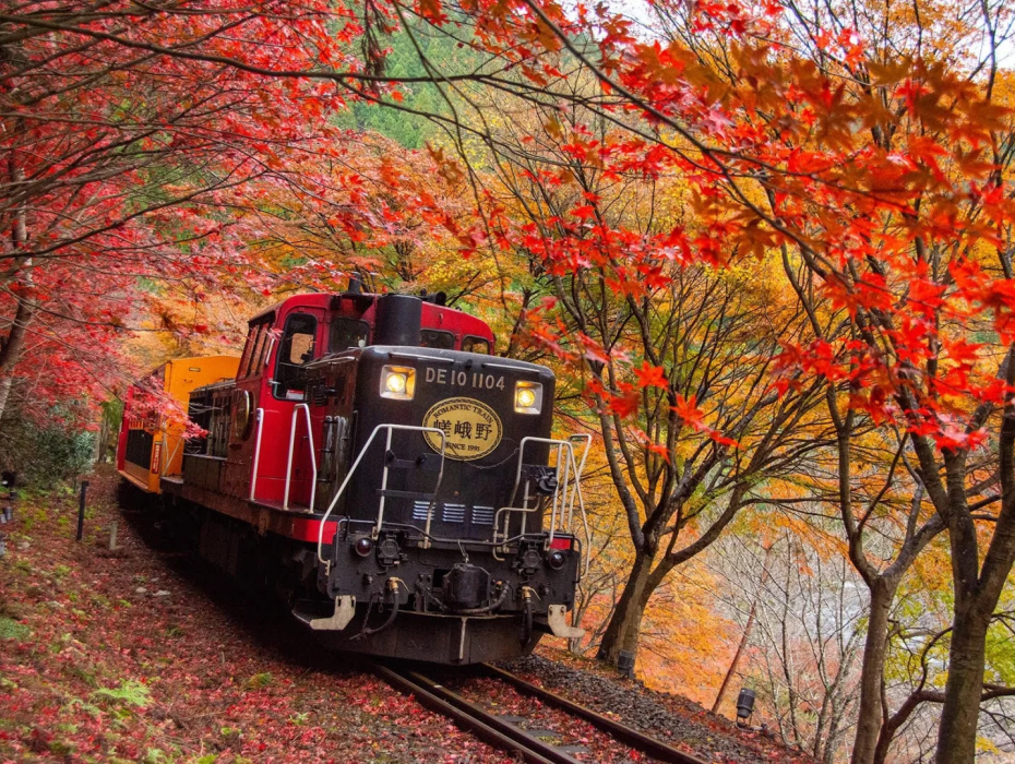 202511181351-7189573108.png 嵐山小火車.png