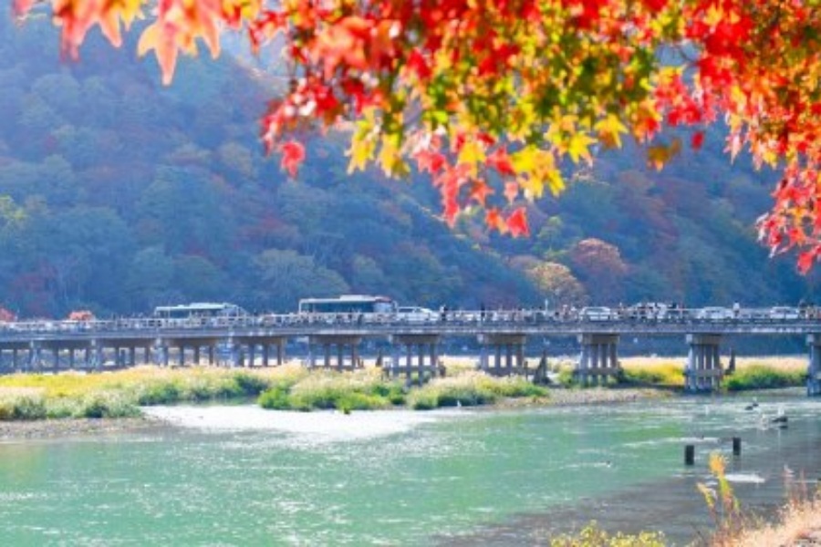 202511181415-1183360076.jpg 255e0e97565b4a3890477ff575eacc8f.jpg