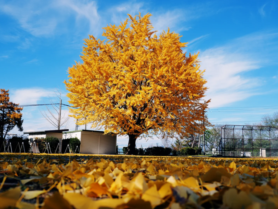 202511181426-8488543549.png 企业微信截图_17634359074858.png