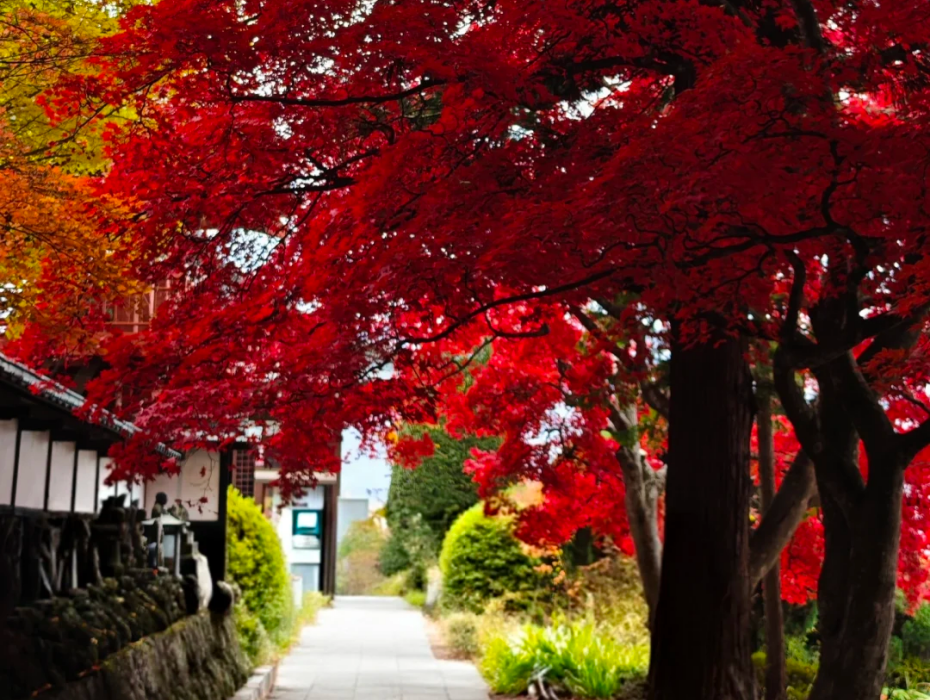 202511181426-9422009726.png 企业微信截图_17634464622083.png