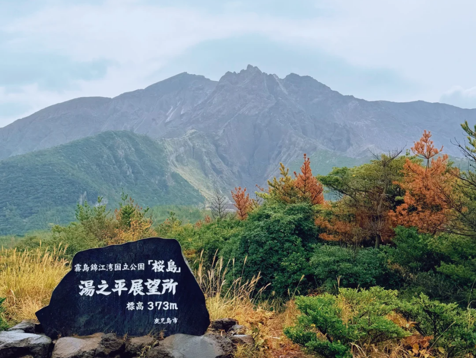 202511181509-6987274969.png 企业微信截图_1763449436105.png