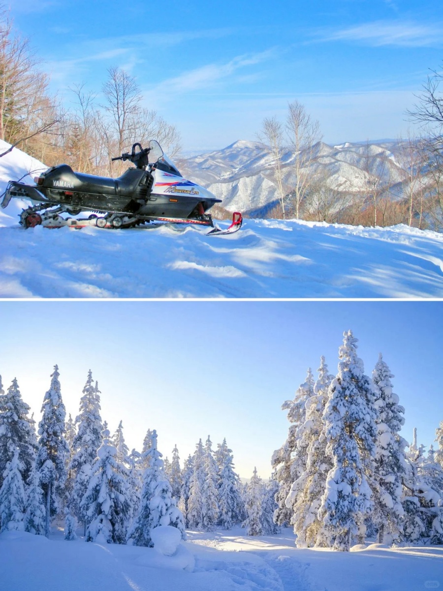 202511181653-2786143633.jpg 北海道|札幌雪地摩托车乐园❄️超刺激体验_2_Happy Cat Travel_来自小红书网页版.jpg