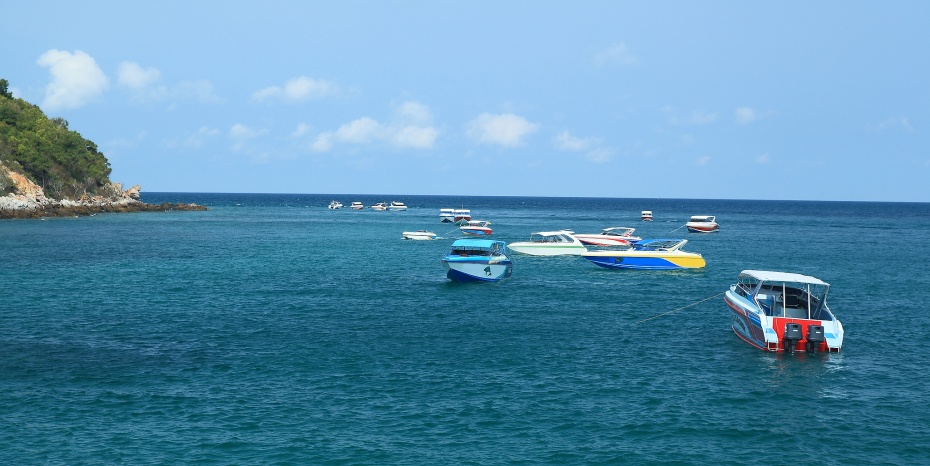 202511191327-9438531964.jpg 930-4.jpg