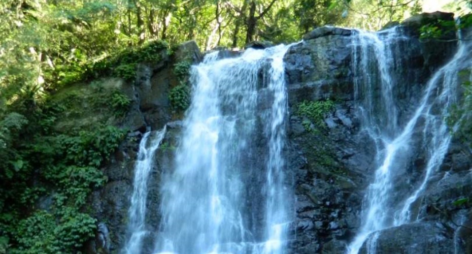 202511191527-8299342053.jpg undefined (1).jpg