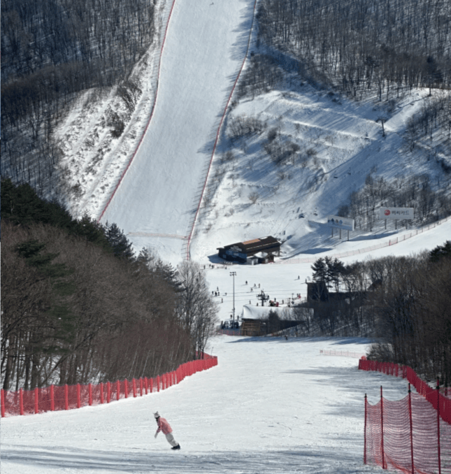 202511201424-1517602136.png image.png