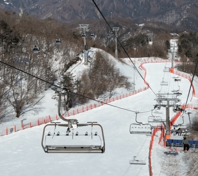 202511201425-7225995041.png image.png