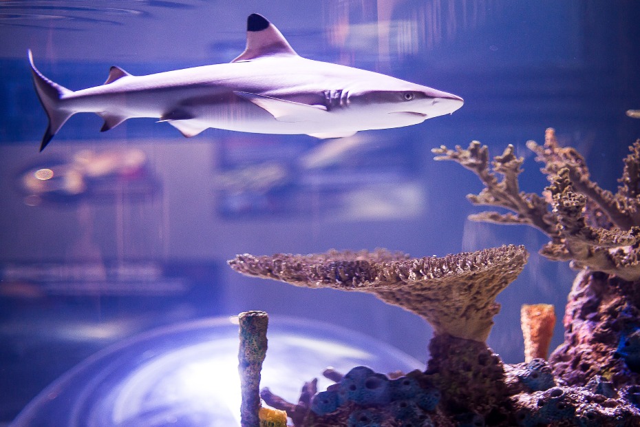 202511201434-3775165183.jpg 0100212000joc2ieyF612.jpg