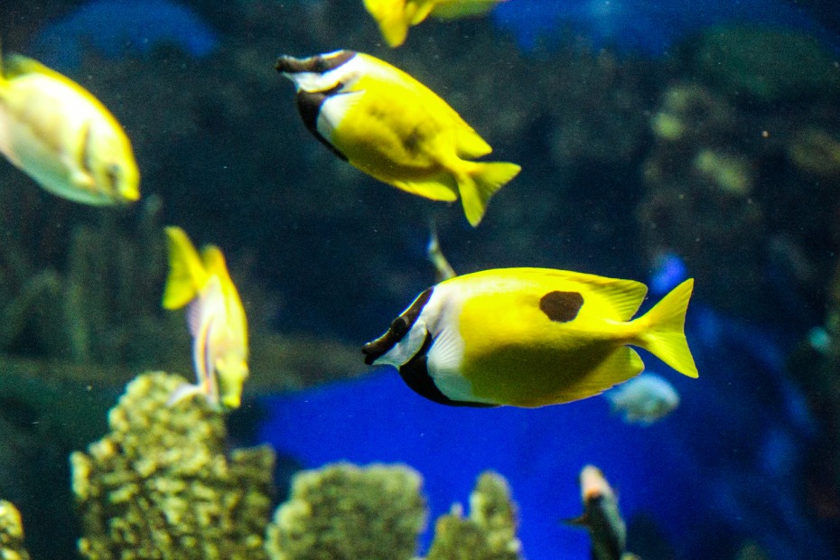 202511201434-4175444630.jpg 0100d12000joc3gj2519C.jpg