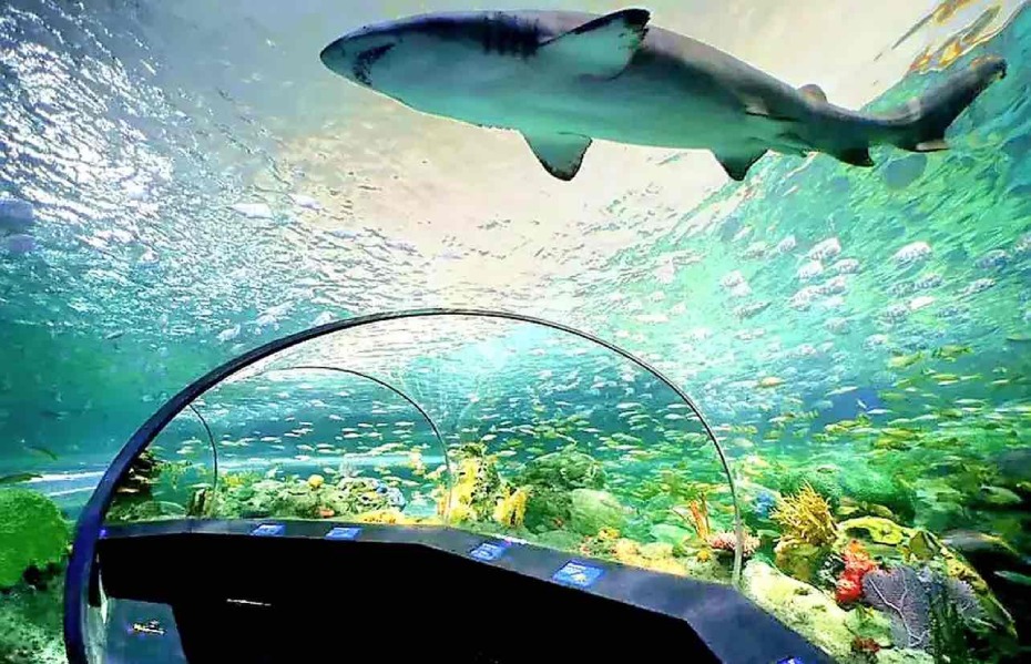 202511201434-4626800942.jpg 0HJ5212000pesuh3gBB48.jpg