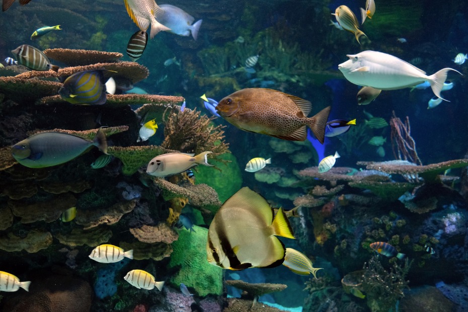 202511201434-5980034135.jpg 0102j12000eqzb61m3535.jpg