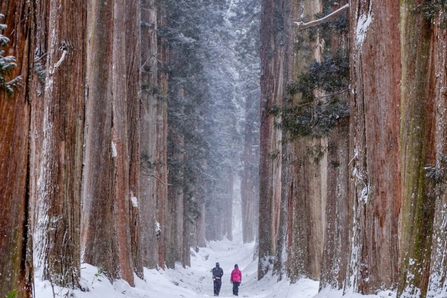🇯🇵户隐神社下雪时，神灵会打开异世界入口_8_瑞克大叔ZANADU_来自小红书网页版.jpg
