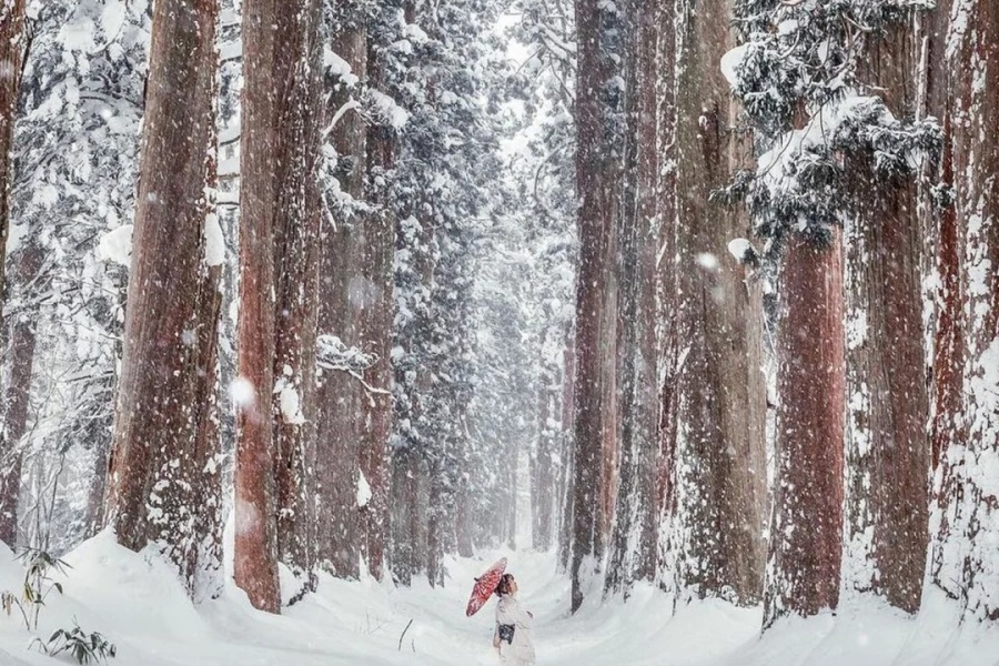 🇯🇵户隐神社下雪时，神灵会打开异世界入口_1_瑞克大叔ZANADU_来自小红书网页版.jpg