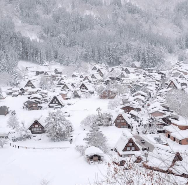 202511211135-1013186899.png image.png