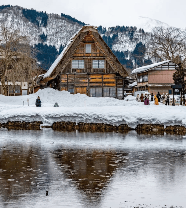 202511211135-8970132475.png image.png