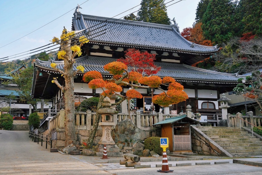 汤泉神社.jpg