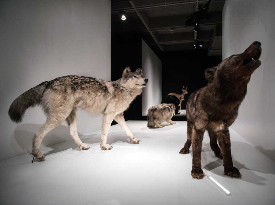 202511211440-6355122637.jpg 0HJ2q12000h0f1y2t1066.jpg