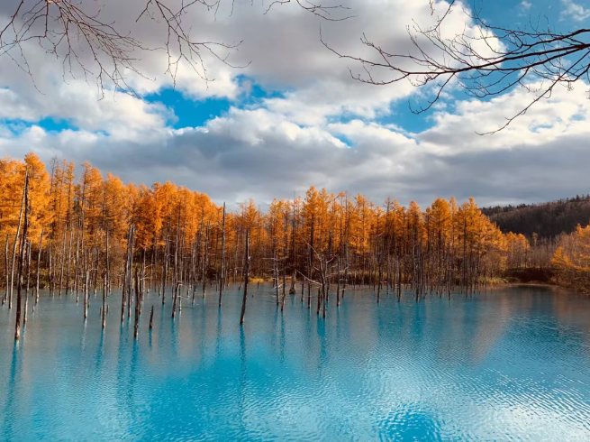 202511240911-7758410420.png image.png