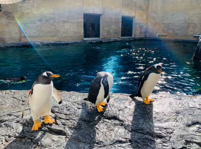 202511240911-9097596800.png image.png