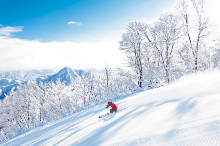 屏幕截图 2025-11-24 113844.png