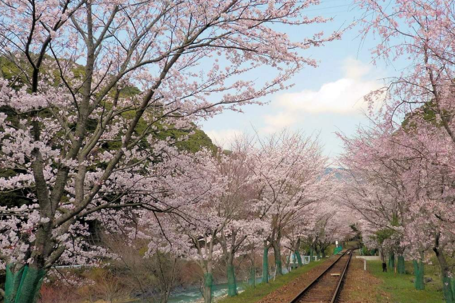 屏幕截图 2025-11-18 135433.png