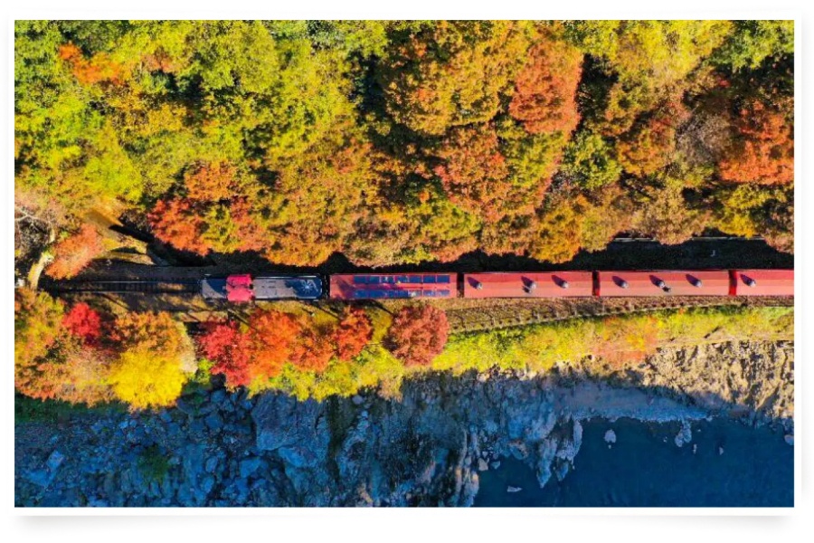 202511241541-5980347262.jpg season_autumn_img02.jpg