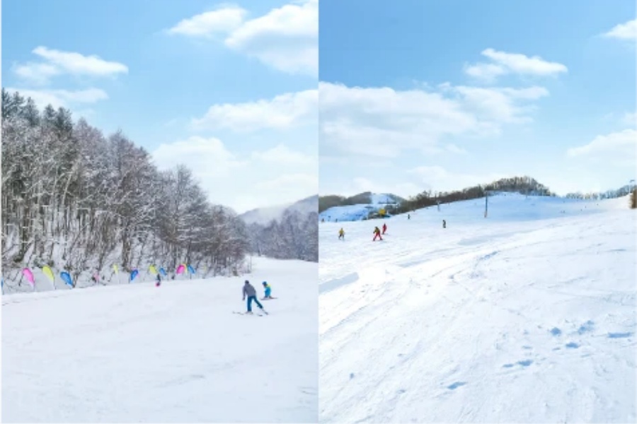 202511241653-7025372278.jpg course_beginner_area.jpg