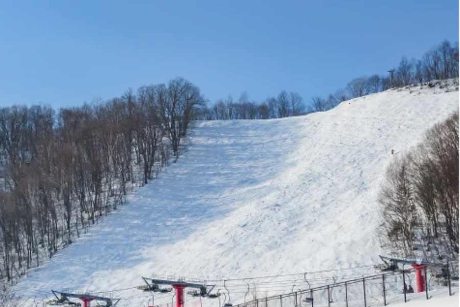 202511241655-5937656239.jpg course_orange.jpg