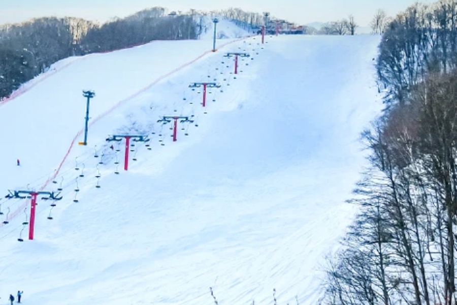 202511241655-7502203482.jpg course_redb.jpg