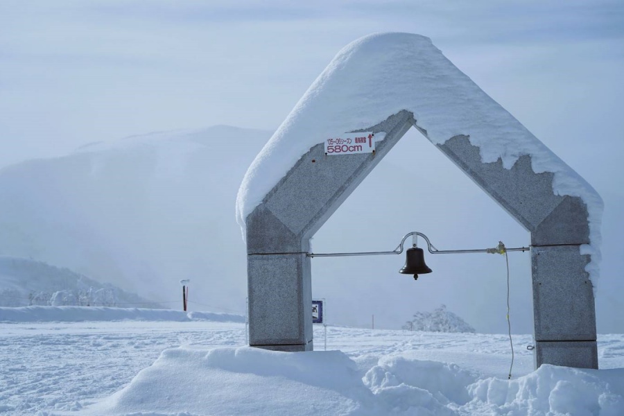 202511251159-3386406932.jpg 1763457092995.jpg