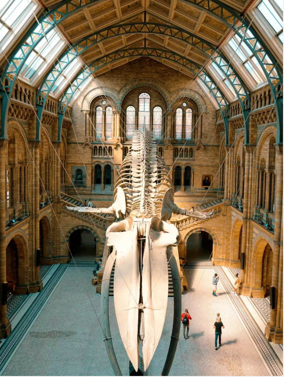 202511251405-9418007875.png image.png