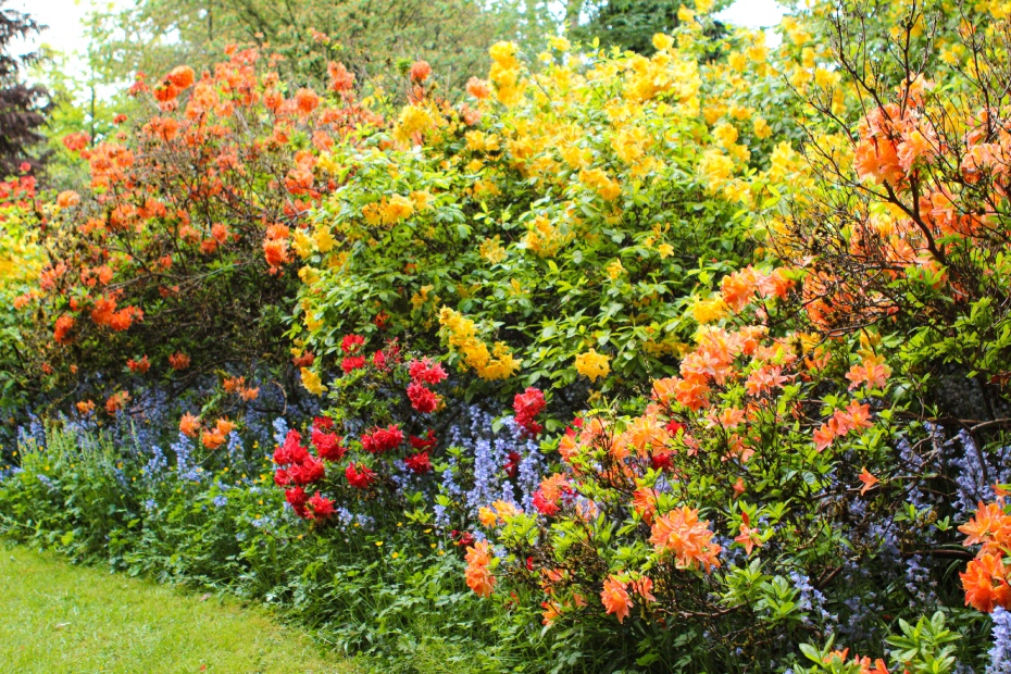 202511251740-3061646871.jpg 0HJ2i12000h007k9x832E.jpg