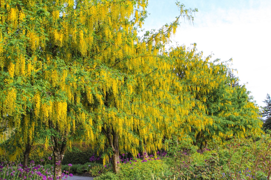 202511251740-6982526848.jpg 0HJ0t12000h0076aa1424.jpg