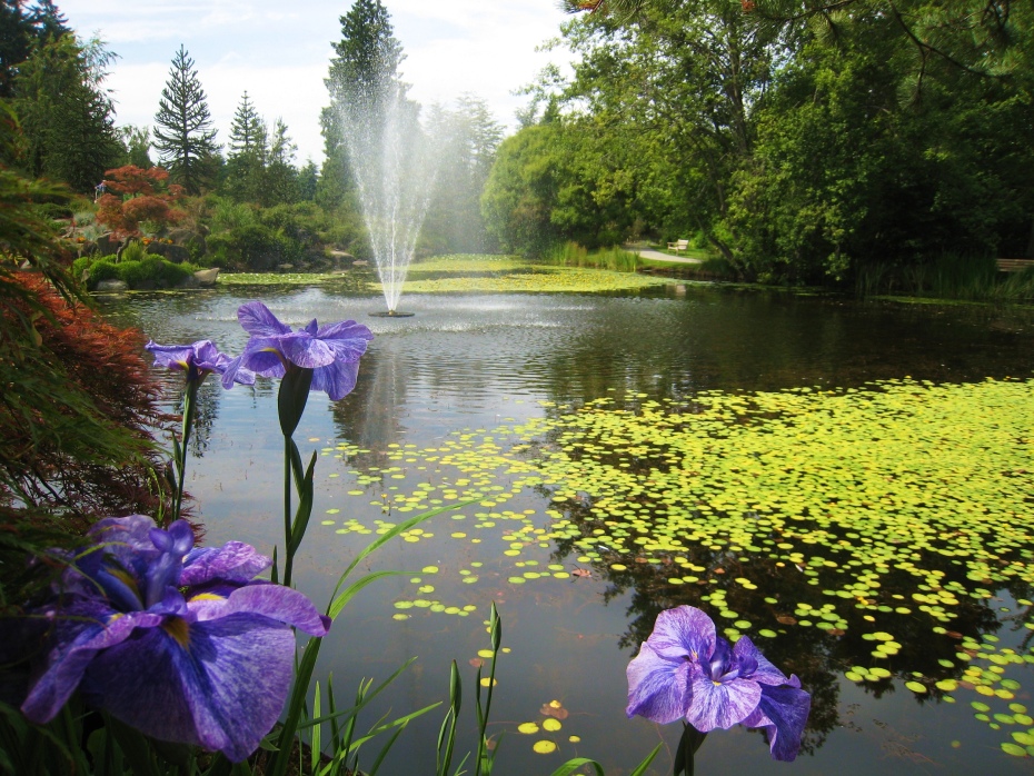 202511251741-3893284889.jpg 0HJ1412000h007hqb1570.jpg