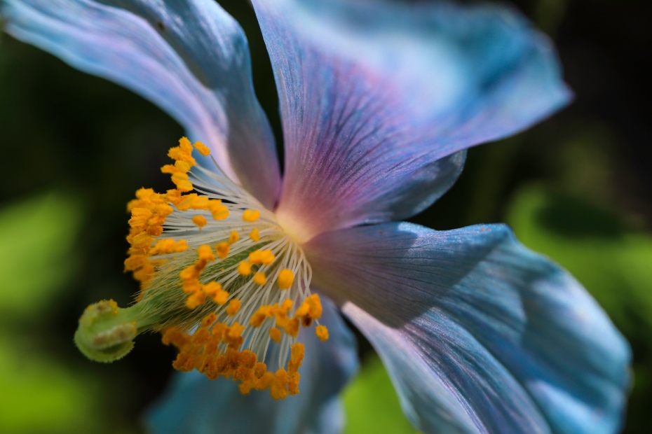 202511251742-3179609068.jpg 0HJ4j12000h007onh3703.jpg