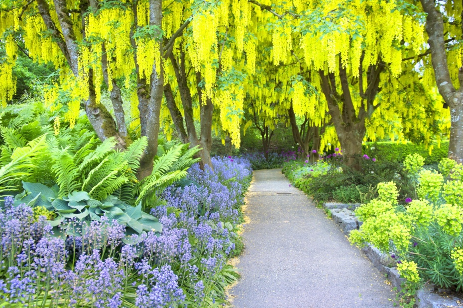 202511251742-3815734720.jpg 100e1f000001gsz2gA8C5.jpg