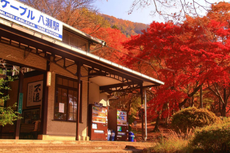 屏幕截图 2025-11-13 103335.png