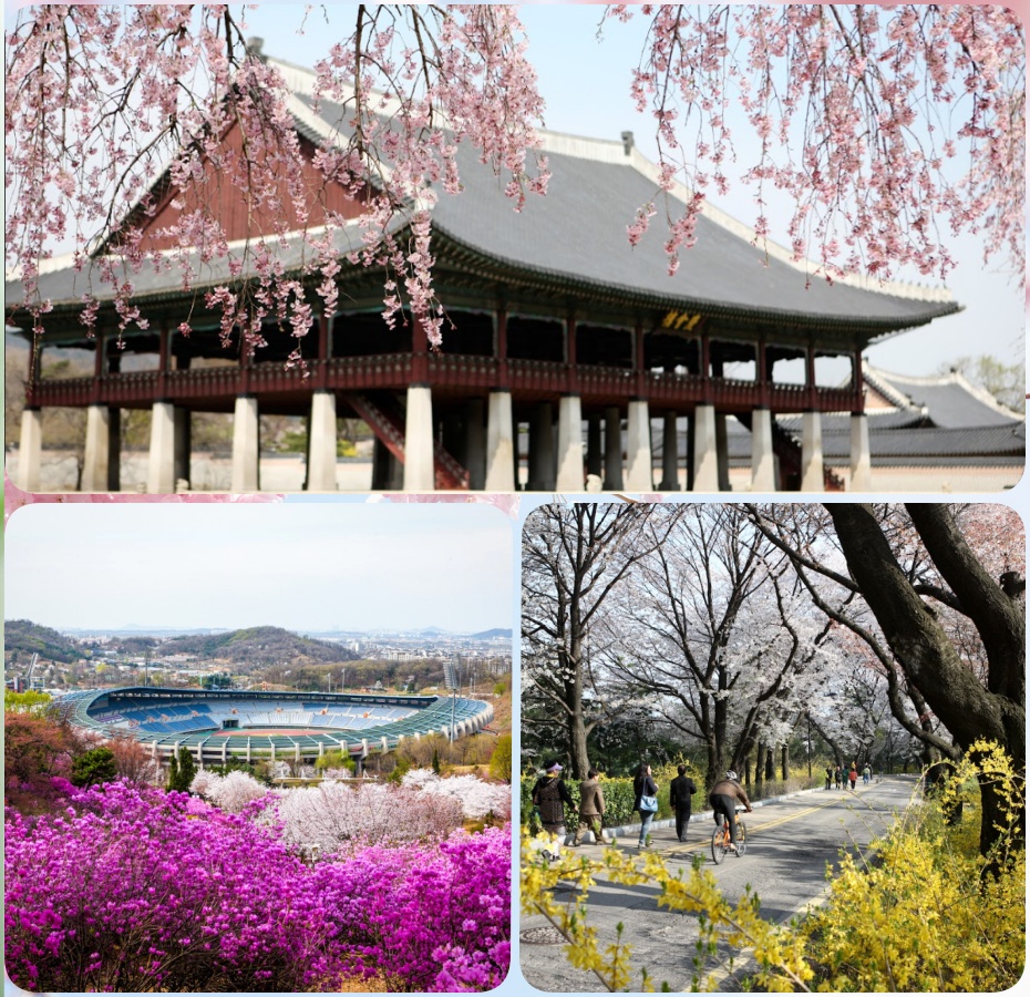 202511261026-3967661301.jpg 333.jpg