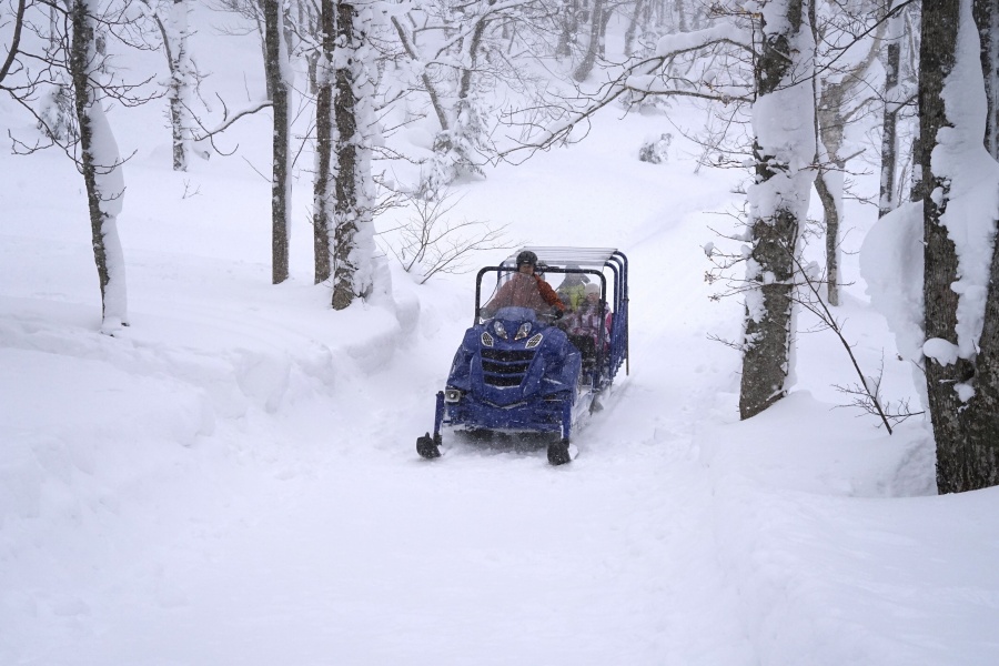 202511261037-9797154708.jpeg DM_20251126102606_007.JPEG