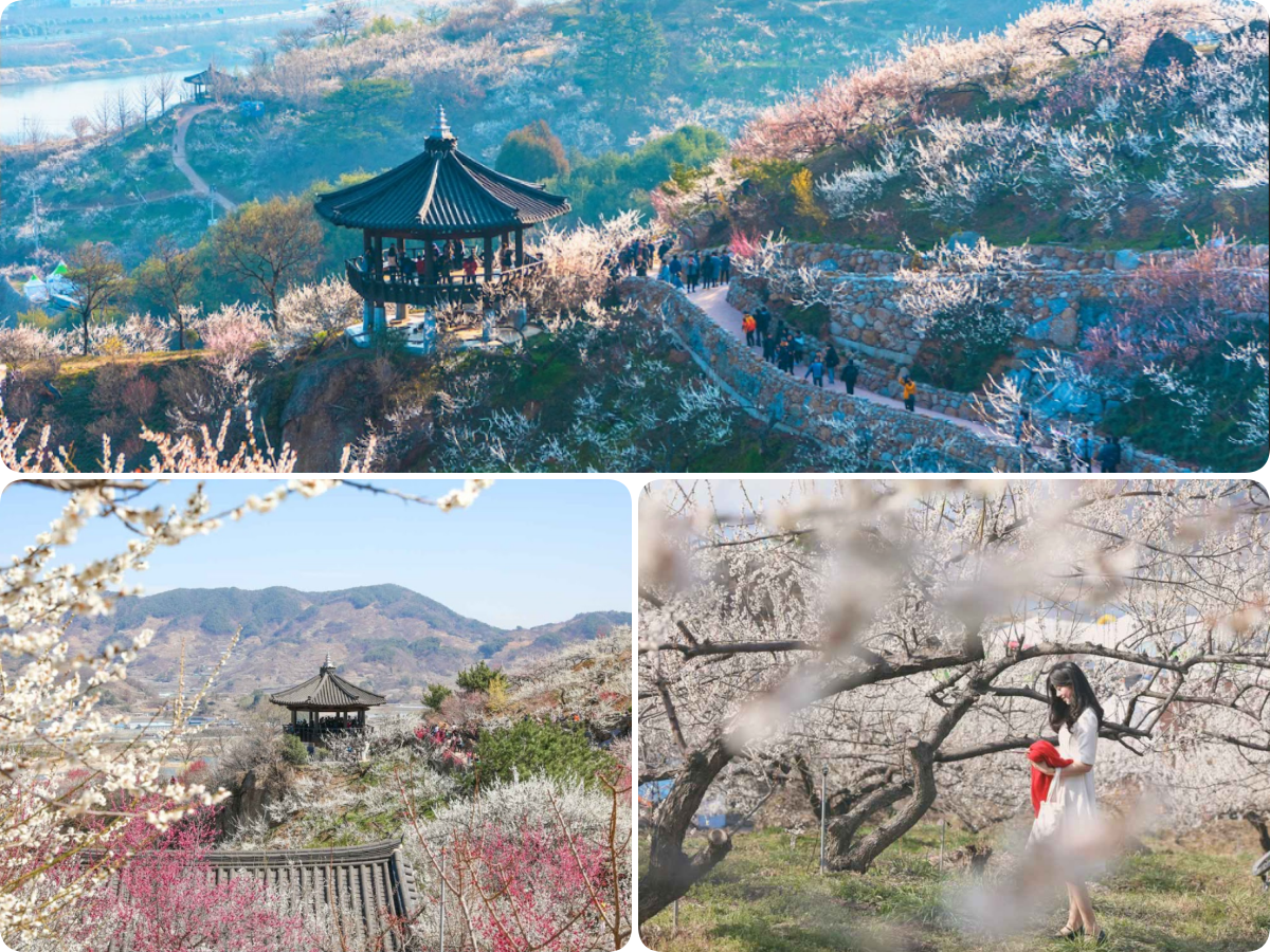 202511261118-1503501198.png 222.png